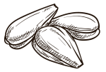 Black-Seed-Oil(1) Black-Seed-Oil(1)