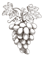 Grape-Seed-Oil(1) Grape-Seed-Oil(1)