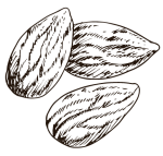 Sweet-Almond-Oil(1) Sweet-Almond-Oil(1)